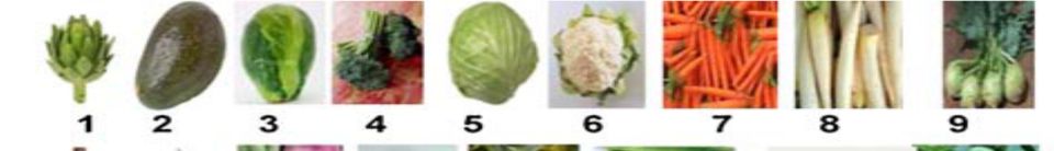 Vegetables Vegetables include: 1 artichok, 2 avocado, 3