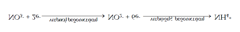 Η πρώτη φάση καταλύεται από το ένζυμο νιτρική ρεδουκτάση (ή αναγωγάση) (NR), λαμβάνει χώρα στο κυτταρόπλασμα και είναι καθοριστική του ρυθμού της όλης αναγωγής.