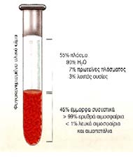 ΤΑ ΣΥΣΤΑΤΙΚΑ ΤΟΥ ΑΙΜΑΤΟΣ Πλάσμα Το υγρό τμήμα του αίματος Περιέχει ιόντα, πρωτεΐνες και ορμόνες.