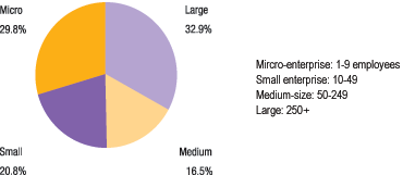 8 small 6,0% mediumsized 0,8% large 0,2% micro 93,0% Σχήμα 3.1 Οι ευρωπαϊκές επιχειρήσεις ανάλογα με το μέγεθός τους (Πηγή: SMEs in focus.