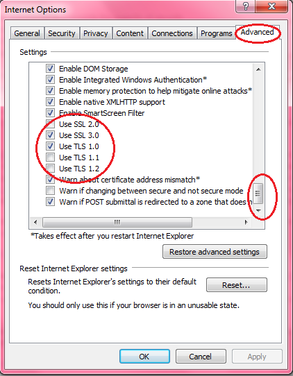 SSL(Secure Sockets Layer) πρωτόκολλο με τις εκδόσεις 2 και 3, το TLS (Transport Layer Security)πρωτόκολλο, με 40 - και 128-bit κρυπτογράφηση SSL, και πιστοποιημένες εφαρμογές Java.