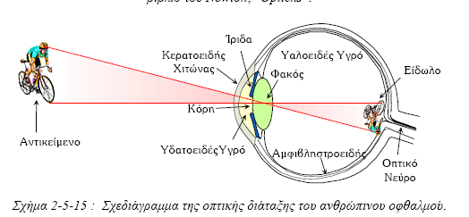 Οφθαλμός