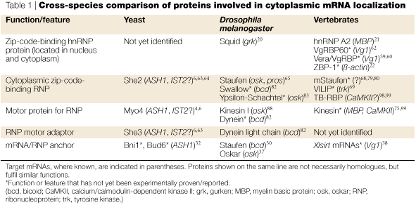 MRNA LOCALIZATION: MESSAGE ON THE MOVE Nature