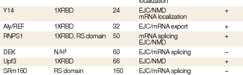 Nature Reviews Molecular Cell Biology 3, 195-205 (2002);