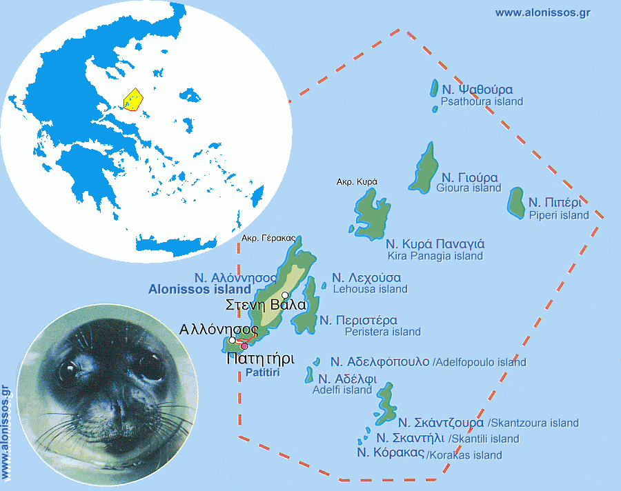 ΠΟΥ ΖΕΙ Η φώκια ζει στο Εθνικό Θαλάσσιο Πάρκο Αλοννήσου Βορείων Σποράδων, που είναι το πρώτο Θαλάσσιο