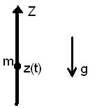 du Η εξίσωση κίνησης του αλεξιπτωτιστή είναι d αλεξιπτωτιστή είναι προς τα κάτω, γι αυτό το γράψαµε ως = g u Το βάρος του g Η τριβή του αέρα αντιτίθεται στην κίνηση, δηλαδή έχει πρόσηµο αντίθετο της