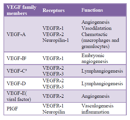 (αλληλουχία) τυροσινικής κινάσης. Ο VEGF-A συνδέεται στο VEGFR-1 (Flt-1) και στο VEGFR-2 (KDR/Flk-1).