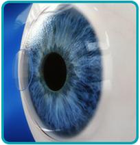 Το ένθεμα Raindrop Near Vision