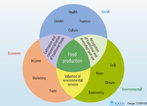Υγεία Κοινωνικόσ Φύλο Παράδοςη Πολιτιςμόσ Οικονομικόσ Έςοδα Παραγωγή Τροφίμων Εδάφη Νερό Μάρκετινγκ Κλίμα Εμπόριο Βιοποικιλότητα Περιβαλλοντικόσ ρήκα 10: Ζ αλαπφθεπθηε δηαζχλδεζε ησλ δηαθνξεηηθψλ