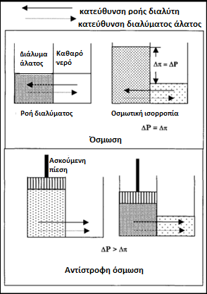 στάθµη του Α να ανεβαίνει και φυσικά του Β να κατεβαίνει. Από τους πόρους της µεµβράνης διέρχεται µόνο καθαρό νερό ενώ το αλάτι (NaCl) δεν περνά και παραµένει στο χώρο του διαµερίσµατος Β.