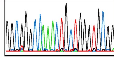 EGFR mutation status by gene sequencing Έλεγχος του αριθµού των αντιγράφων του