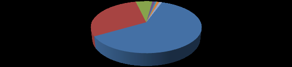Social Media 29,76% Ραδιόφωνο TV 0,98% 0,49% Τοπικές Εφημερίδες Blogs 0,98% 5,85% Ηλεκτρονικά Newsletters 0,98% Ηλεκτρονικά Portals 60,98% Δημοσιότητα