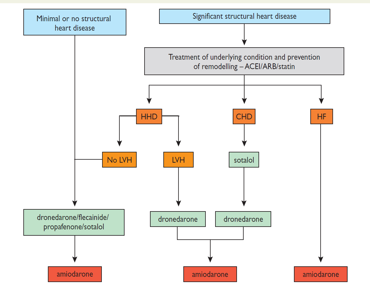 Choice of antiarrhythmic drug