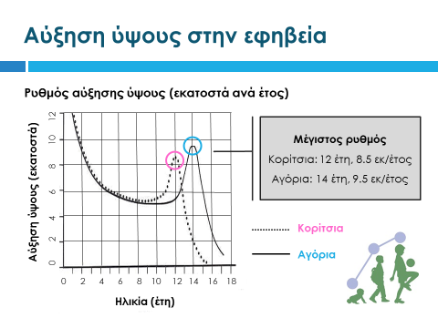 Διαφάνεια 6 Αντιστοίχως, έχοντας αναφέρει ότι το ύψος αυξάνεται στην εφηβεία, καλούμε τους μαθητές να το δουν και στο διάγραμμα της διαφάνειας.