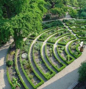 ΟΛΛΑΝΔΙΑ-Ο Βοτανικός Κήπος Το Άμστερνταμ έχει έναν μεγάλο και ελκυστικό βοτανικό κήπο που ονομάζεται Hortus Botanicus, ένας από τους παλαιότερους στον κόσμο.