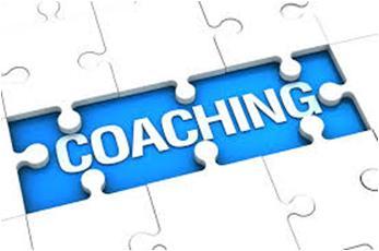 Τι είναι το Coaching; Οι συμμετέχοντες καλούνται να επιλέξουν ένα (1) Θεματικό Πεδίο, το οποίο με την βοήθεια του coach θα «τρέξουν» πιλοτικά στην επιχείρησή τους Οι συμμετέχοντες