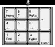 Κουμπιά με αριθμούς και βοηθητικά: Εκτός από αριθμούς, βρείτε το κουμπί «TAB» που είναι χρήσιμο για την εισαγωγή κενού στα κείμενα, το «Caps lock», που ενεργοποιεί ή απενεργοποιεί τα κεφαλαία