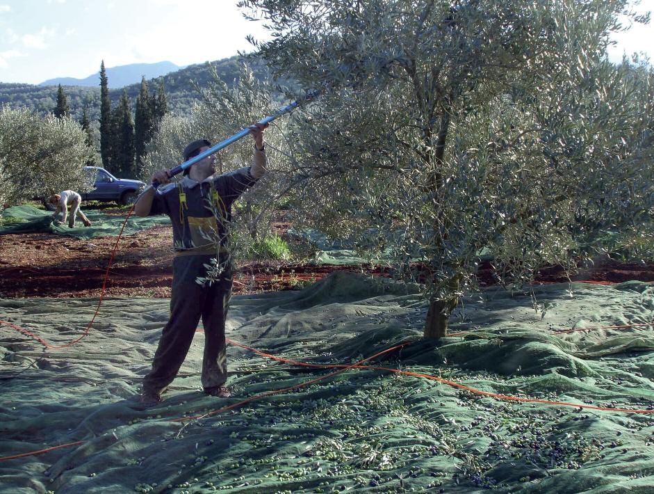 Υπεύθυνες συμβουλές για λιπάνσεις 17 Η κατά το δυνατόν καλύτερη χρήση του λιπάσματος εξακολουθεί να παίζει έναν αποφασιστικό ρόλο για την οικονομική επιτυχία των αγροτικών προιόντων.