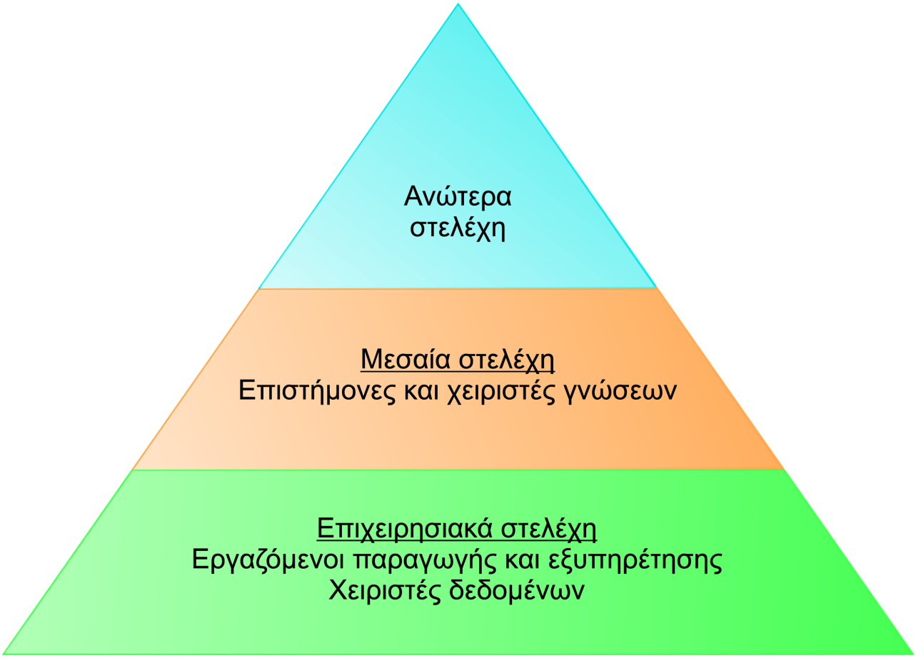 Τα επίπεδα μιας επιχείρησης Οι επιχειρηματικοί οργανισμοί είναι ιεραρχίες που αποτελούνται από τρία βασικά επίπεδα: ανώτερα στελέχη, μεσαία στελέχη και επιχειρησιακά