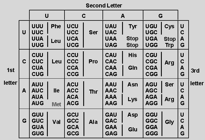 5 ΓΕΝΕΤΙΚΟΣ ΚΩ ΙΚΑΣ ΠΡΩΤΗ