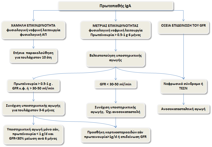 Εισαγωγή IgAN με παρουσία μηνοειδών σχηματισμών Ως ταχέως εξελισσόμενη IgAN ορίζεται η IgAN με παρουσία μηνοειδών σχηματισμών άνω του 50% των σπειραμάτων στη νεφρική βιοψία σε συνδυασμό με ταχέως