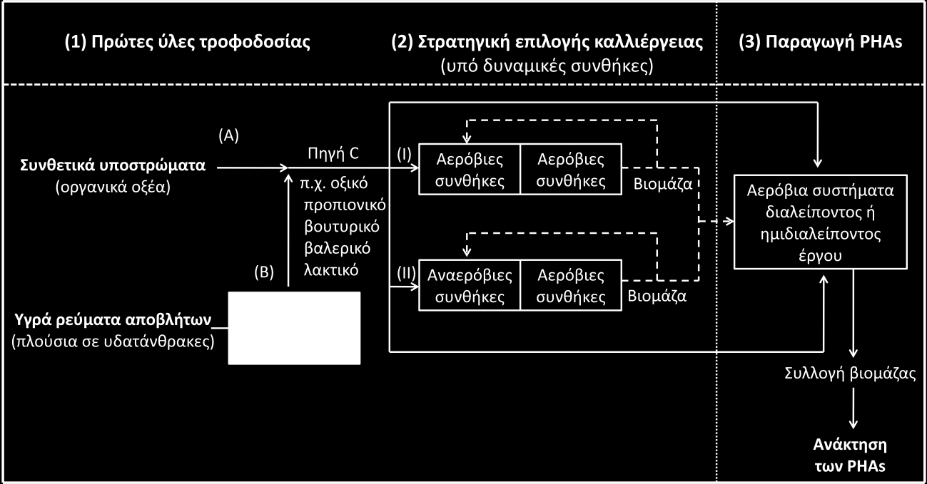 Σχήμα 5.2. Διεργασία παραγωγής PHAs από μικτές καλλιέργειες μικροοργανισμών (Albuquerque et al., 2007). 5.2.1.