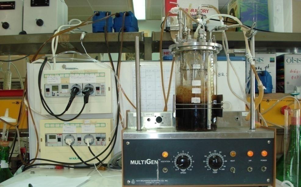 nm και δύο ράβδους χαλαζία τοποθετημένες παράλληλα στη λυχνία από τις οποίες και διέρχονταν οι τροφοδοσίες.
