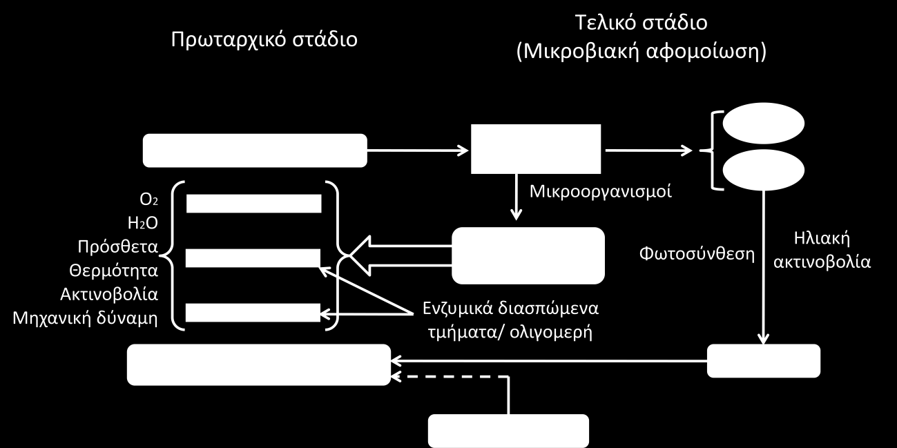Προκειμένου ένα υλικό να χαρακτηριστεί βιοδιασπώμενο θα πρέπει να πληρεί κάποιες προϋποθέσεις οι οποίες περιγράφονται από πιστοποιημένα πρότυπα διασφάλισης ποιότητας.