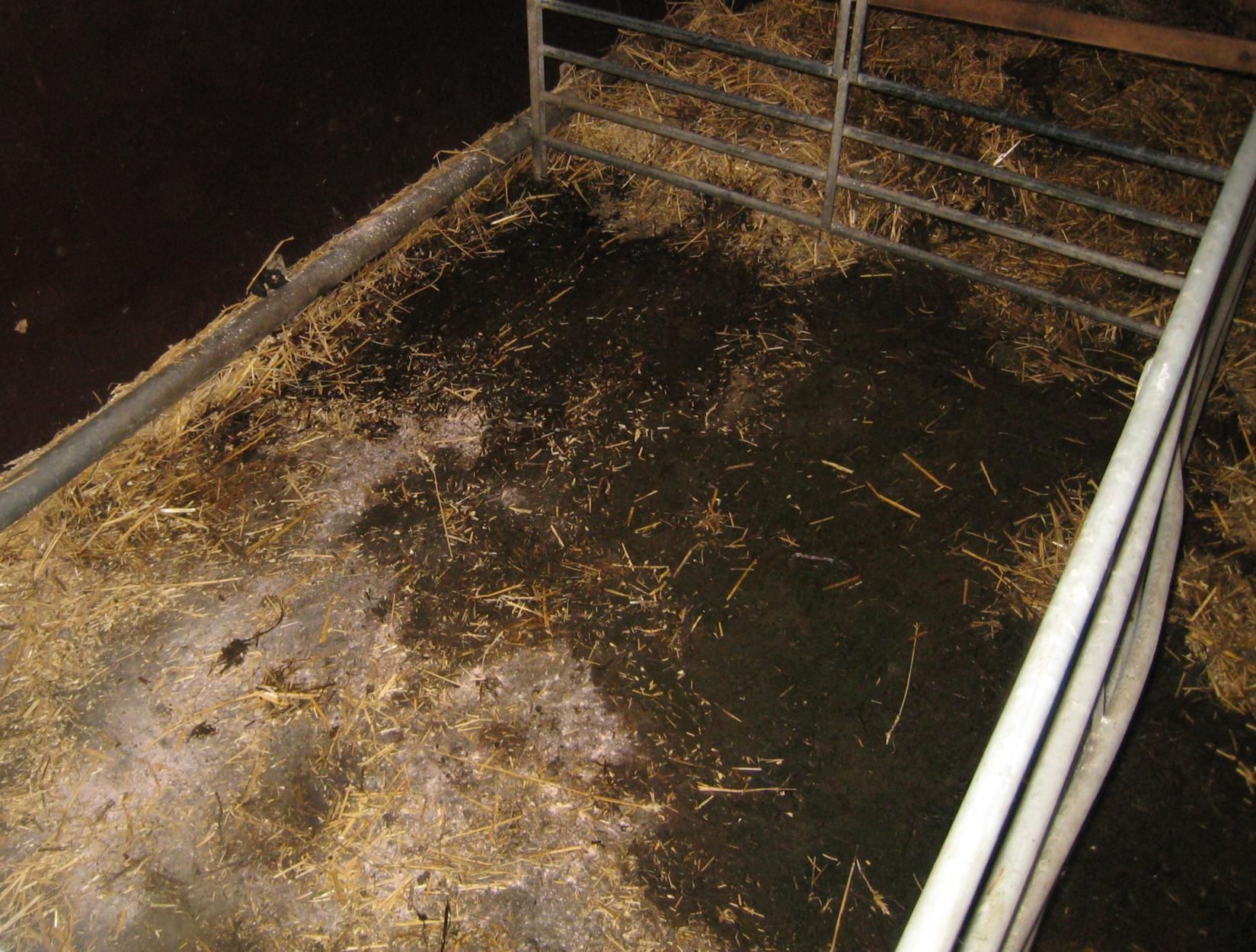 Το Staldren για πρόβατα και αίγες χρησιμοποιείται ως εξής: Στον χώρο των νεογνών : Ο χώρος των νεογνών καθαρίζεται σχολαστικά, και το Staldren απλώνεται σε όλο το δάπεδο με 1-2 καλές χούφτες