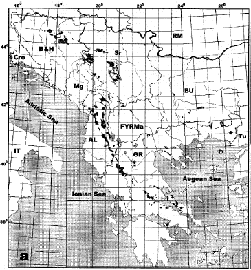 Ο εδαφικός ενδημισμός της Ελληνικής χλωρίδας Η πλειοψηφία των Ελληνικών ενδημικών ειδών εξαπλώνεται σε ασβεστολιθικό