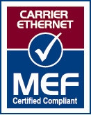 Προσομοίωση οπτικής ίνας στο χαλκό 45Mbps Extending the Ethernet network Internet 10Mbps SM E Συμμετρική μετάδοση έως 100 Mbps πάνω από χαλκό Έως15 Μbps ανά ζευγάρι χαλκού Out of reach Branch office