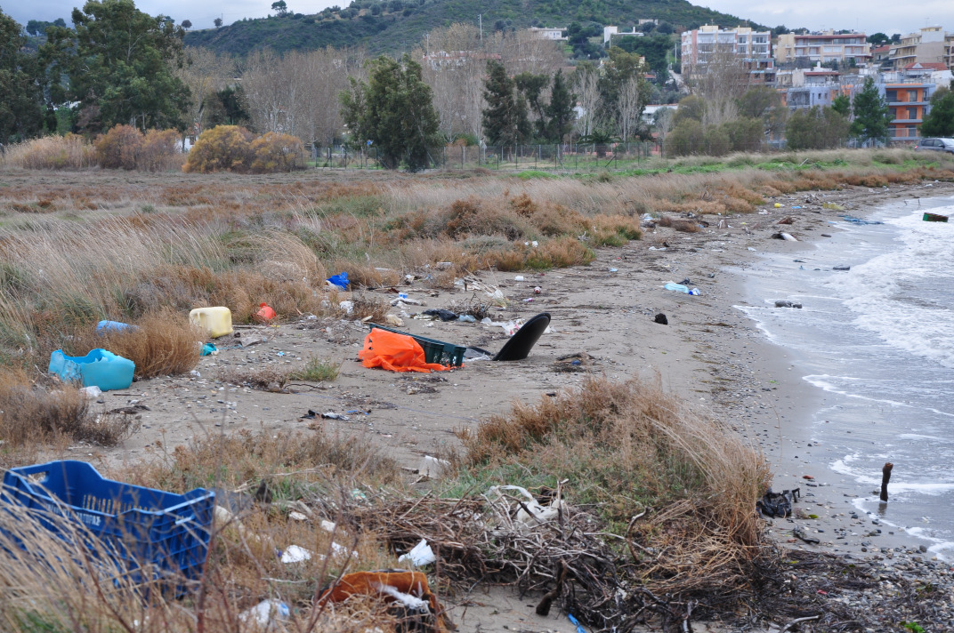 Φωτογραφία 7. Συσσώρευση σκουπιδιών στην περιοχή της λιµνοθάλασσας Ωρωπού.
