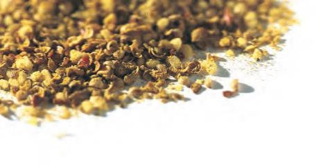 Curry Madras Κάρυ Madras Star anise Αστεροειδής Γλυκάνισος Rosemary Δεντρολίβανο Chervil Μαϊντανός (Γαλλικός) Yellow mustard seeds