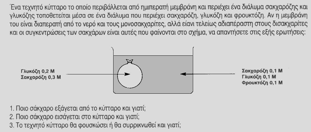 ΖΗΤΗΜΑ Δ 1. Από το κύτταρο εξάγεται η γλυκόζη επειδή είναι μονοσακχαρίτης και μετακινείται με διάχυση από τις ψηλές στις χαμηλές συγκεντρώσεις με σκοπό την εξισορρόπηση. 2.