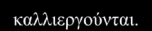 ΠΡΟΛΟΓΟΣ Το θέμα μανιτάρι και σήμερα συγκρίνει παρά πολλούς για διαφορετικό λόγο τον καθένα.