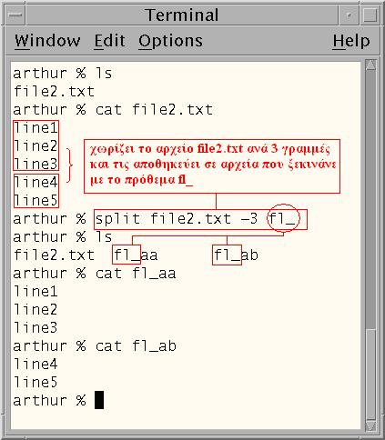 Η εντολή diff H diff είναι μία εντολή που εντοπίζει διαφορές μεταξύ δύο αρχείων και τις τυπώνει στην οθόνη. Το αποτέλεσμα είναι τέτοιο ώστε το ένα αρχείο να μοιάζει στο δεύτερο.