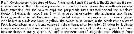, 2002, Science, 295, 1715-1719