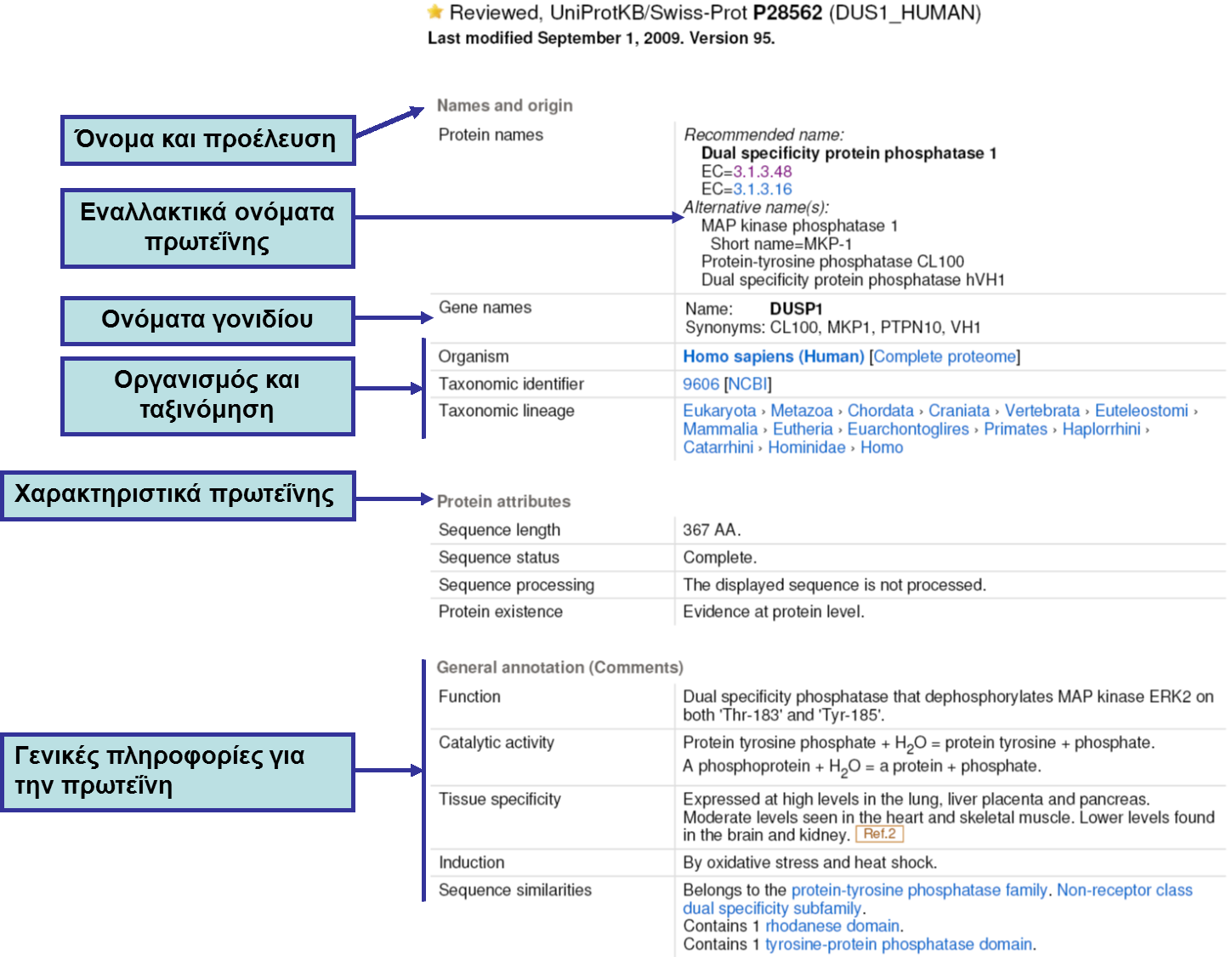 UniProt