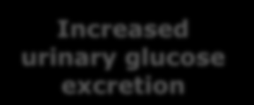Dapagliflozin: A novel insulin-independent approach to remove excess glucose