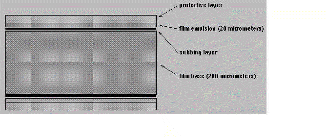 Φιλµ Προστατευτικό στρώµα ζελατίνης Βάση ( ιαφανής πολυεστέρας) (200 micrometers) Γαλάκτωµα µε φωτοευαίσθητο