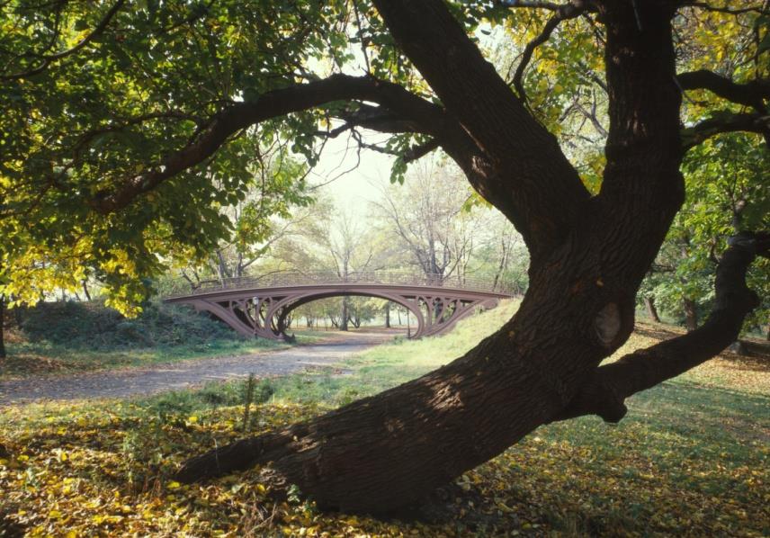πάρκο, ενώ αργότερα επεκτάθηκε στις τριγύρω συνοικίες της Νέας Υόρκης και κατέληγε στο περίφημο Green του Central Park. Διαδρομή που ακολουθείται μέχρι και σήμερα.