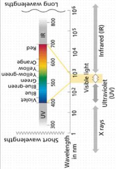 Σχεδιασμός & Οργάνωση Θερμοκηπίων, Υλικά