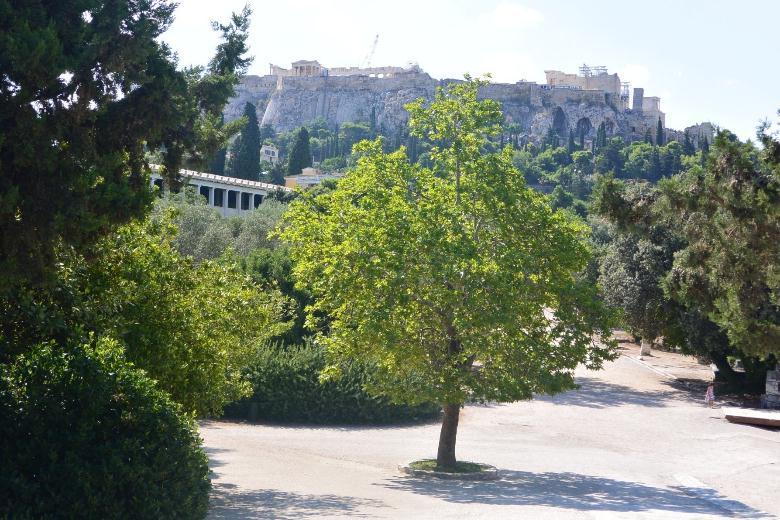 Αποψη της Ακρόπολης από