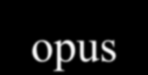 Στρώσιμο Ψηφίδων-Opus Ο όρος opus στα Λατινικά σημαίνει «Έργο». Επίσης και ο τρόπος που στρώνονται οι ψηφίδες βασίζεται στην Λατινική ορολογία.