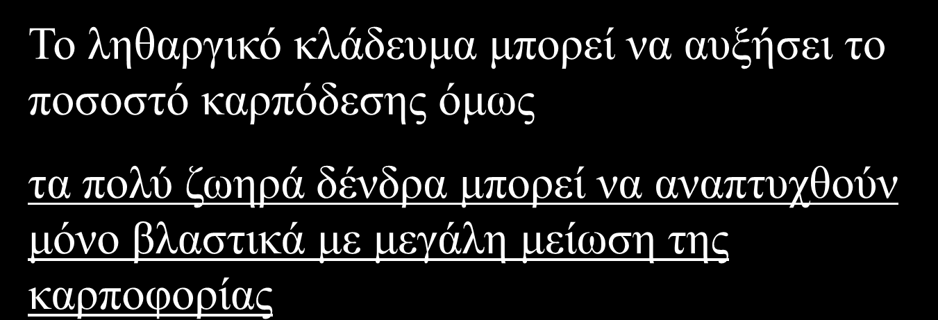 Το ληθαργικό κλάδευμα μπορεί να αυξήσει το ποσοστό καρπόδεσης όμως τα πολύ