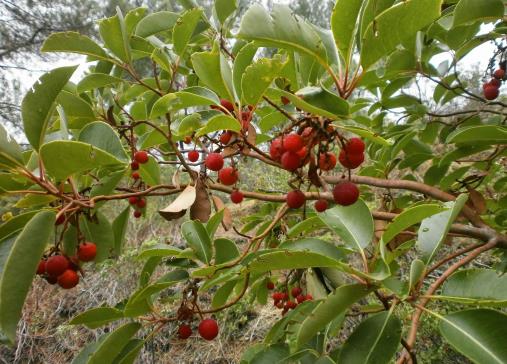 3η ΠΑΓΚΥΠΡΙΑ ΟΛΥΜΠΙΑΔΑ ΕΠΙΣΤΗΜΗΣ Δ ΤΑΞΗΣ ΔΗΜΟΤΙΚΟΥ Κυριακή, 1 Ιουνίου 2014, ώρα: 11:00-12:00 Οδηγίες: 1) Το εξεταστικό δοκίμιο αποτελείται από 10 σελίδες και περιλαμβάνει 25 θέματα.