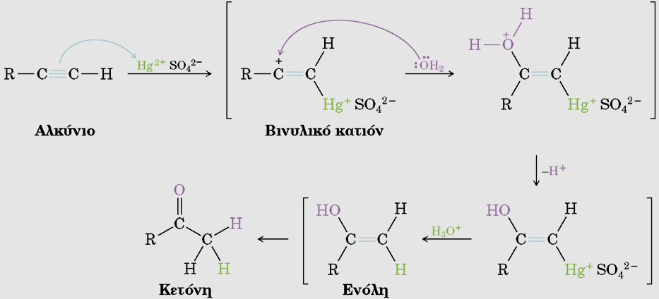 Ενυδάτωση αλκυνίου Μηχανισμός: Σχηματισμός