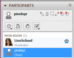 2. PARTICIPANTS Εργαλεία επικοινωνίας/έκφρασης μέσα στην αίθουσα - Δικαιώματα Για την περίπτωση που ο μαθητής βρίσκεται στην αίθουσα για να παρακολουθήσει απλά το μάθημα τότε δεν έχει δικαιώματα που
