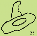 53