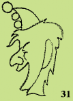 54